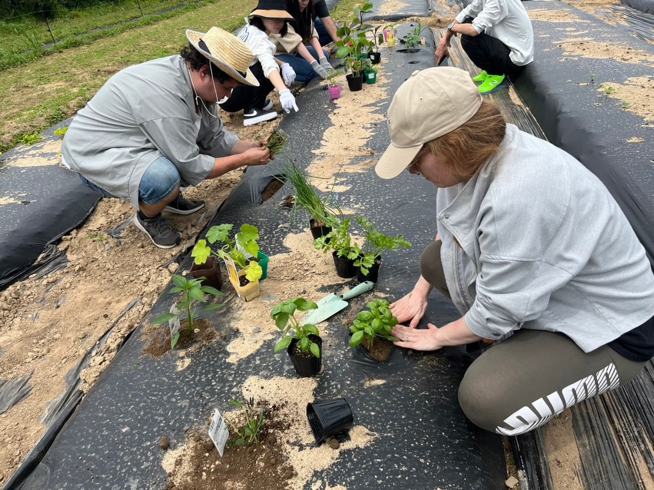 Report from Dacha Farm: April 28