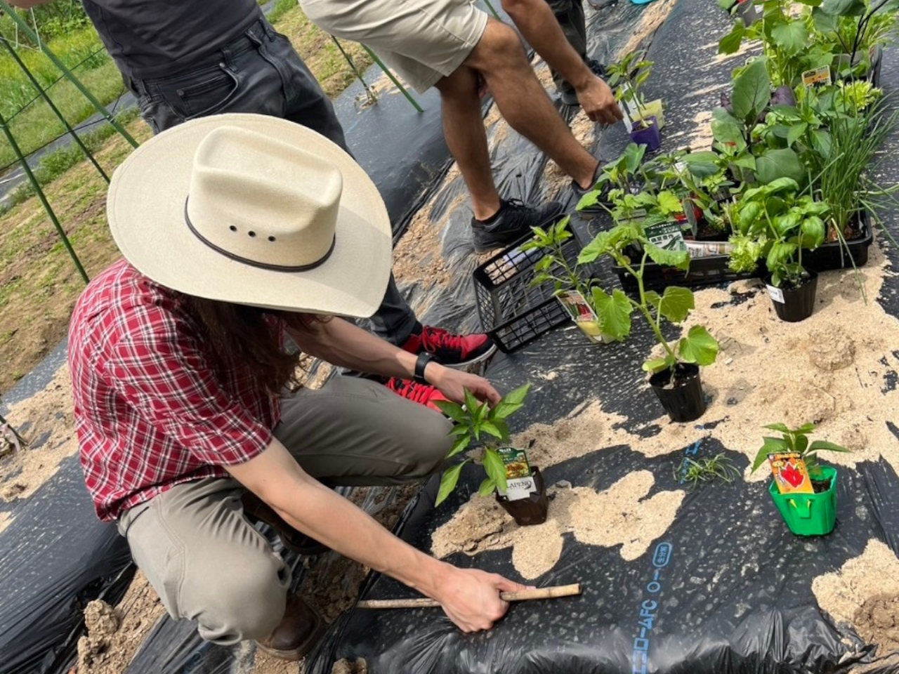 Report from Dacha Farm: April 28 – NEWS – FFLC [FUKUOKA FOREIGN ...