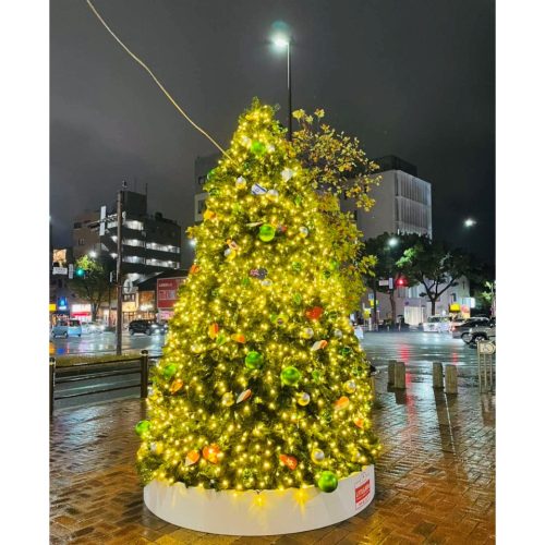 吉塚駅前にクリスマスツリーを設置しました