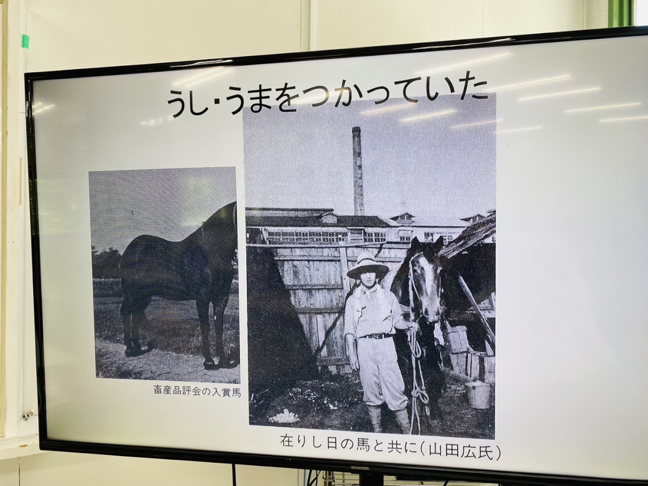 国際キャリアコースと英語科の合同授業・6月13日
